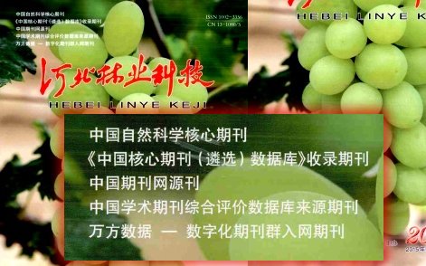 曾为92和96版的核心开元体育最新版