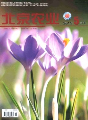 他们会给你详解并报价
